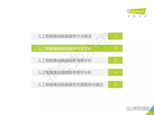 2019年中國人工智能基礎(chǔ)數(shù)據(jù)服務(wù)白皮書 驅(qū)動智能未來的核心基石